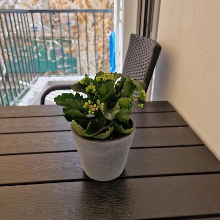 Luxury Apartment In Attiki 雅典 客房 照片